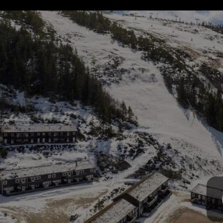 Leilighet Pa Gautefall Apartment Drangedal Bagian luar foto